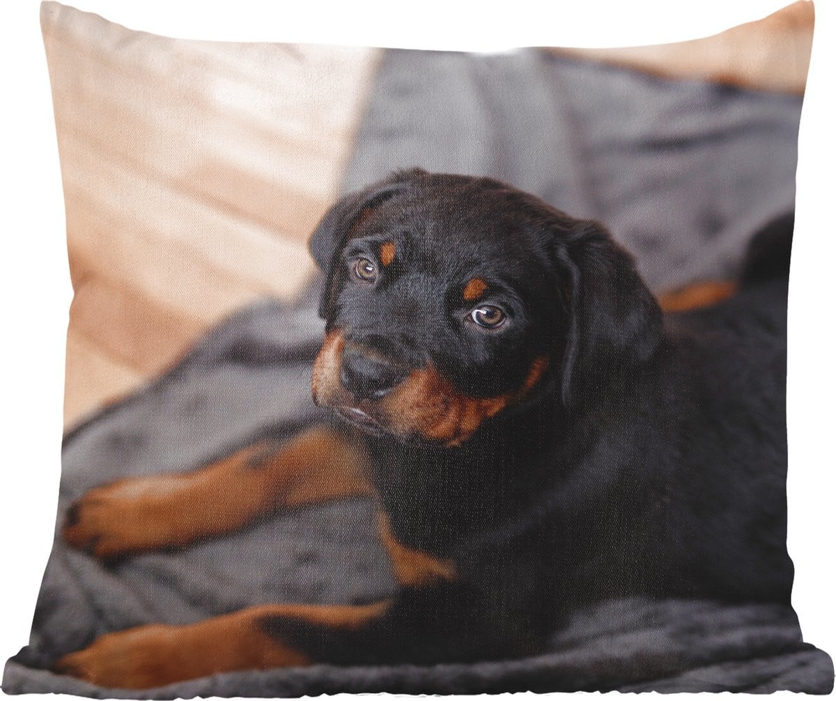 Sierkussen met Rottweiler puppy op zwart kleed - 40 x 40 cm