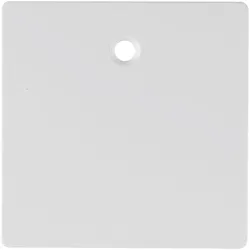 Berker 11466089 Zentralstück f Zugsch/tast Q.x pw