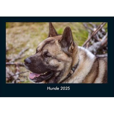 Hunde 2025 Fotokalender DIN A4