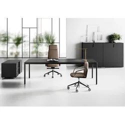 Büromöbel Sideboard Schreibtisch Kombination Le2o