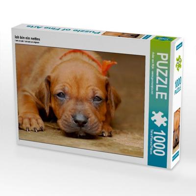 CALVENDO Puzzle Ich bin ein nettes | 1000 Teile Lege-Größe 64x48cm Foto-Puzzle für glückliche Stunden