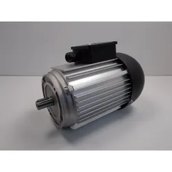Holzstar Motor TKS 254 E / 400V 1,5kW