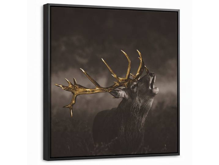 LEINWAND Bilder mit Rahmen - Rotwild - Schwarz - Gold - 50x50