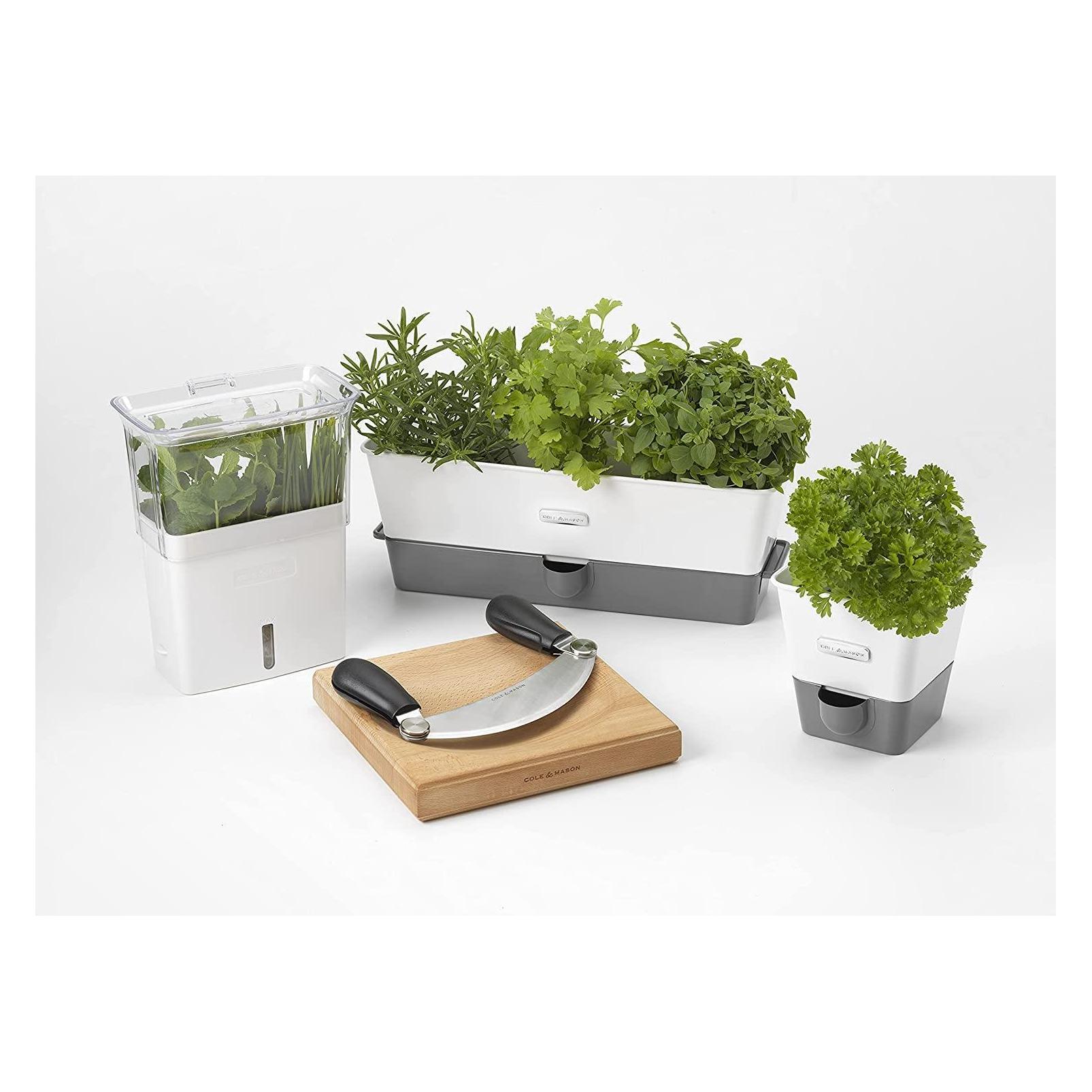 Cole & Mason Schnittkräuter Box (0.38 l) (H105159)