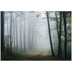 FOTOTAPETE Wald Natur Vlies Tapete Wohnzimmer Schlafzimmer 150x105