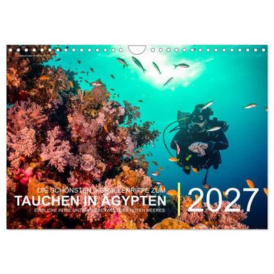 Die schönsten Korallenriffe zum Tauchen in Ägypten (Wandkalender 2027 DIN A4 quer), CALVENDO Monatskalender