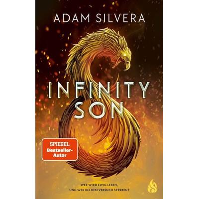 Infinity Son (Bd. 1), Gebundene Ausgabe von Adam Silvera, Arctis ein Imprint der Atrium Verlag AG, 978-3-03880-064-4