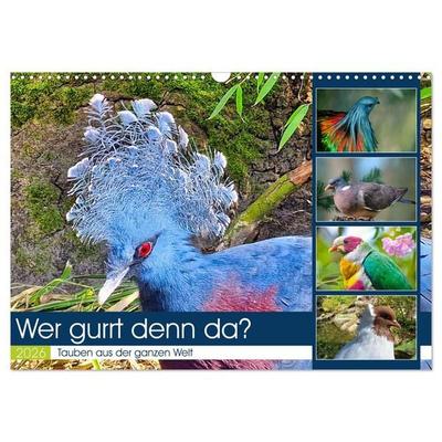 Wer gurrt denn da? (Wandkalender 2026 DIN A3 quer), CALVENDO Monatskalender