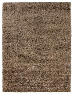 Exquisite Rugs Viscose Shaggy Shag Viscose Chocolate Area Rug - 8' x 10'