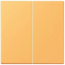 Jung Wippe 2fach LC 995 254