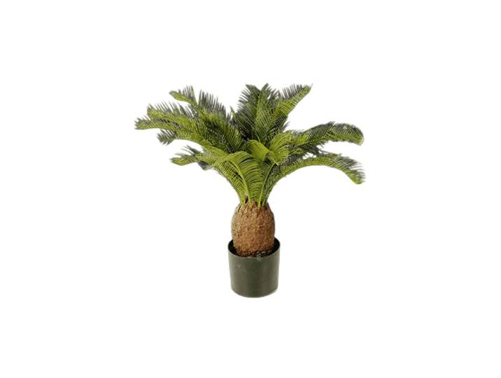 Lebensechte Kunstpflanze „Cycas Tuff“, verschiedene Grössen Grün Baq Design