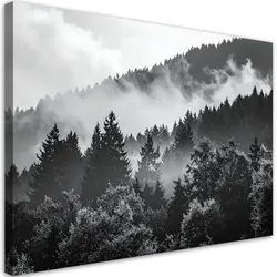 LEINWANDBILD Wald im Nebel schwarz-weiß 90x60cm