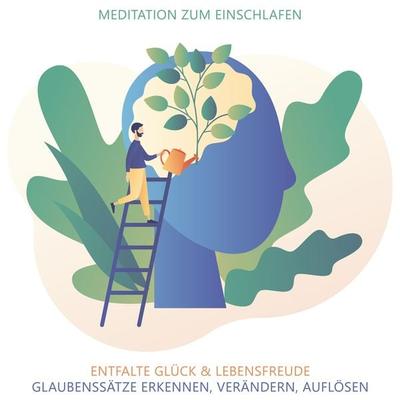 Glaubenssätze erkennen, verändern, auflösen - Meditation zum Einschlafen - Raphael Kempermann, Audio, 4067248856918