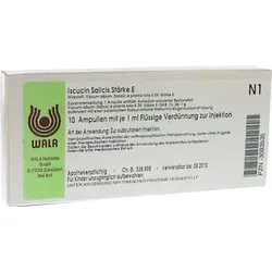 Iscucin Salicis Stärke E Ampullen 10X1 ml Ampullen