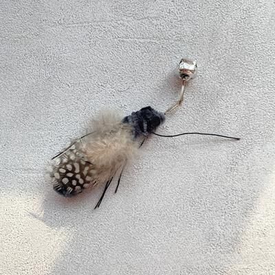 Uplift Essentials Interactive Plush Insect Replacement Teasers black