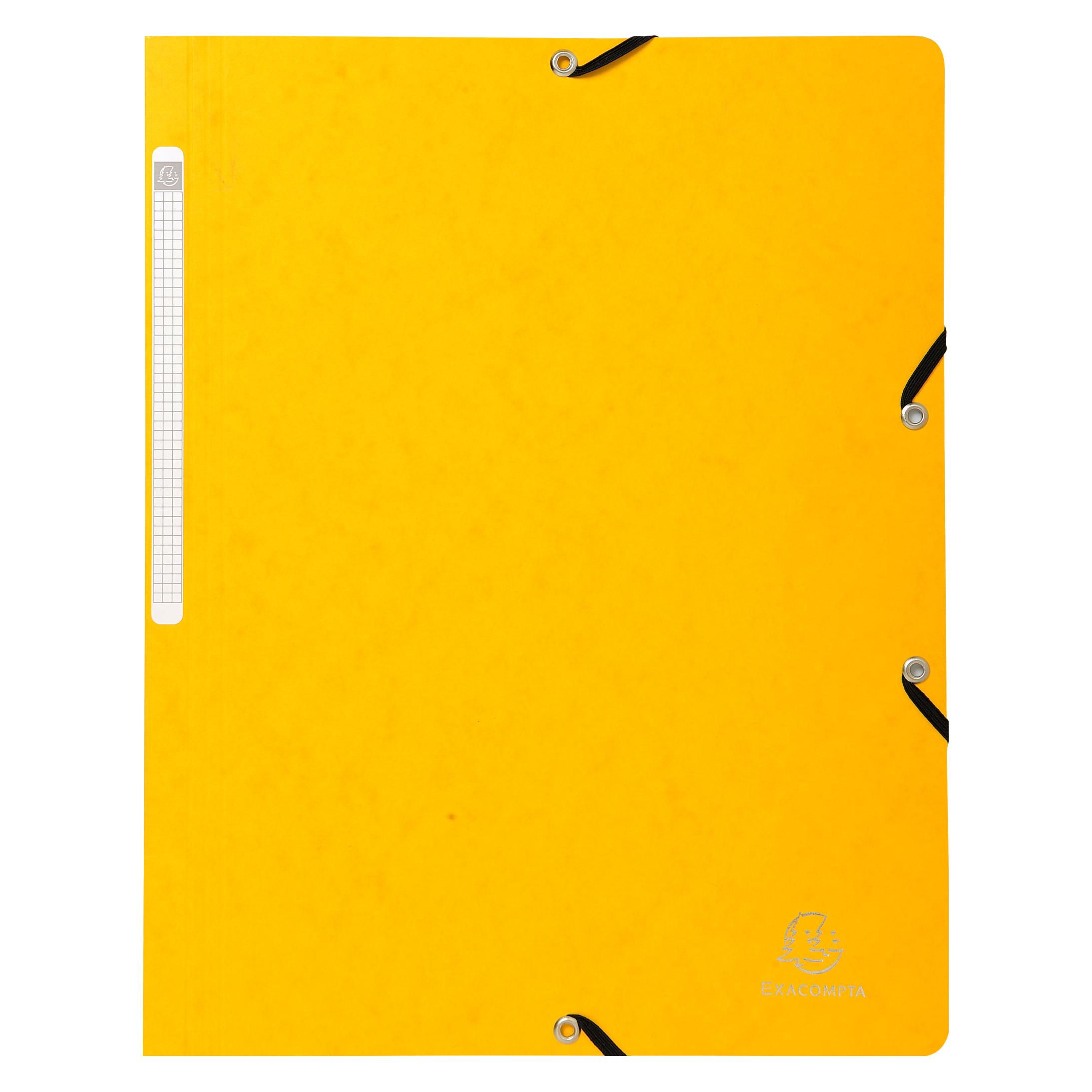 Exacompta Sammelmappe mit Gummizug (A4) (5519E)