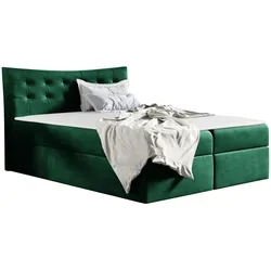 BOXBETT Havana - H3