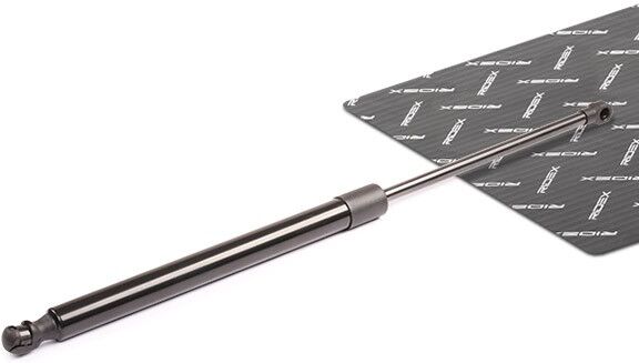 RIDEX 219G0189 Tailgate strut