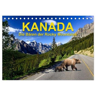 KANADA - Die Bären der Rocky Mountains (Tischkalender 2026 DIN A5 quer), CALVENDO Monatskalender