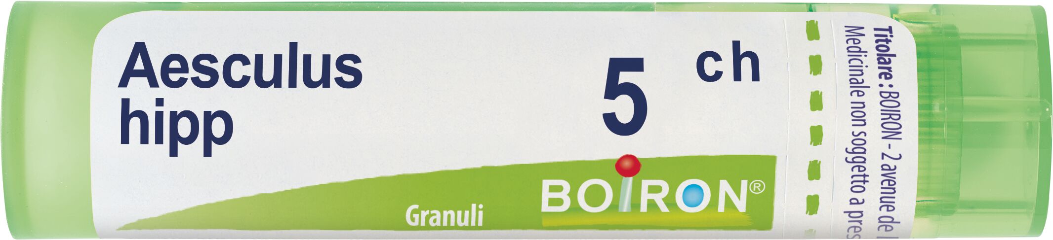 Aesculus Hippocastanum 5ch Granuli Multidose Boiron