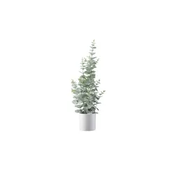 Eukalyptus getopft   , grün , Kunststoff , Maße (cm): H: 65