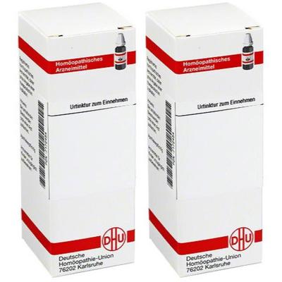 Salvia Officinalis Urtinktur 2x 2x20 ml Dilution