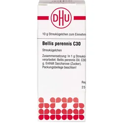 Bellis Perennis C30 10 G