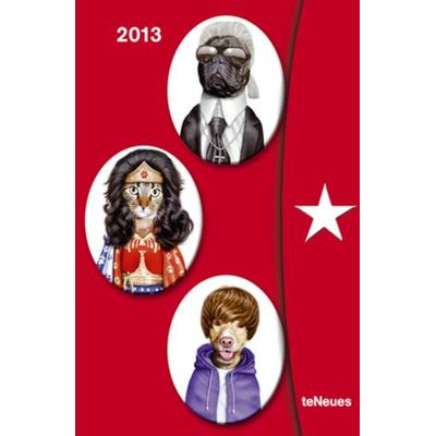 Pets Rock, Magneto Diary, klein 2013