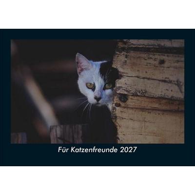 Für Katzenfreunde 2027 Fotokalender DIN A5