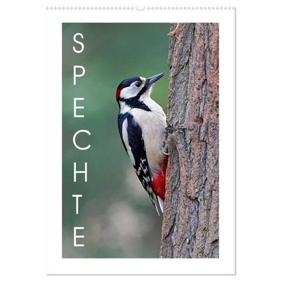 Spechte (Wandkalender 2026 DIN A2 hoch), CALVENDO Monatskalender