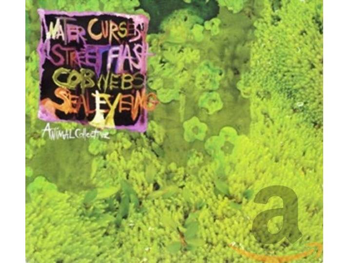 Animal Collective - Water Curses