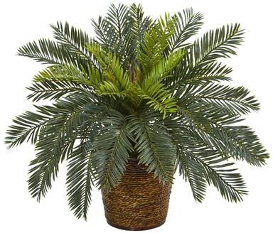 Nearly Natrual "15"" Cycas Artificial Plant in Basket"