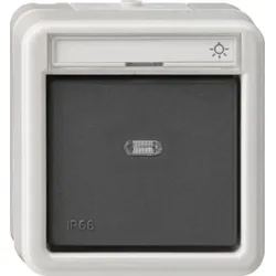 Gira Wechseltaster grau AP-WD 015631
