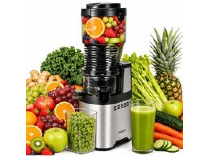 PhiloDeco Extracteur de Jus à Froid JE-85 250W Grande Ouverture Vis Inox Rendement 90% Nettoyage Facile Fruits Entiers