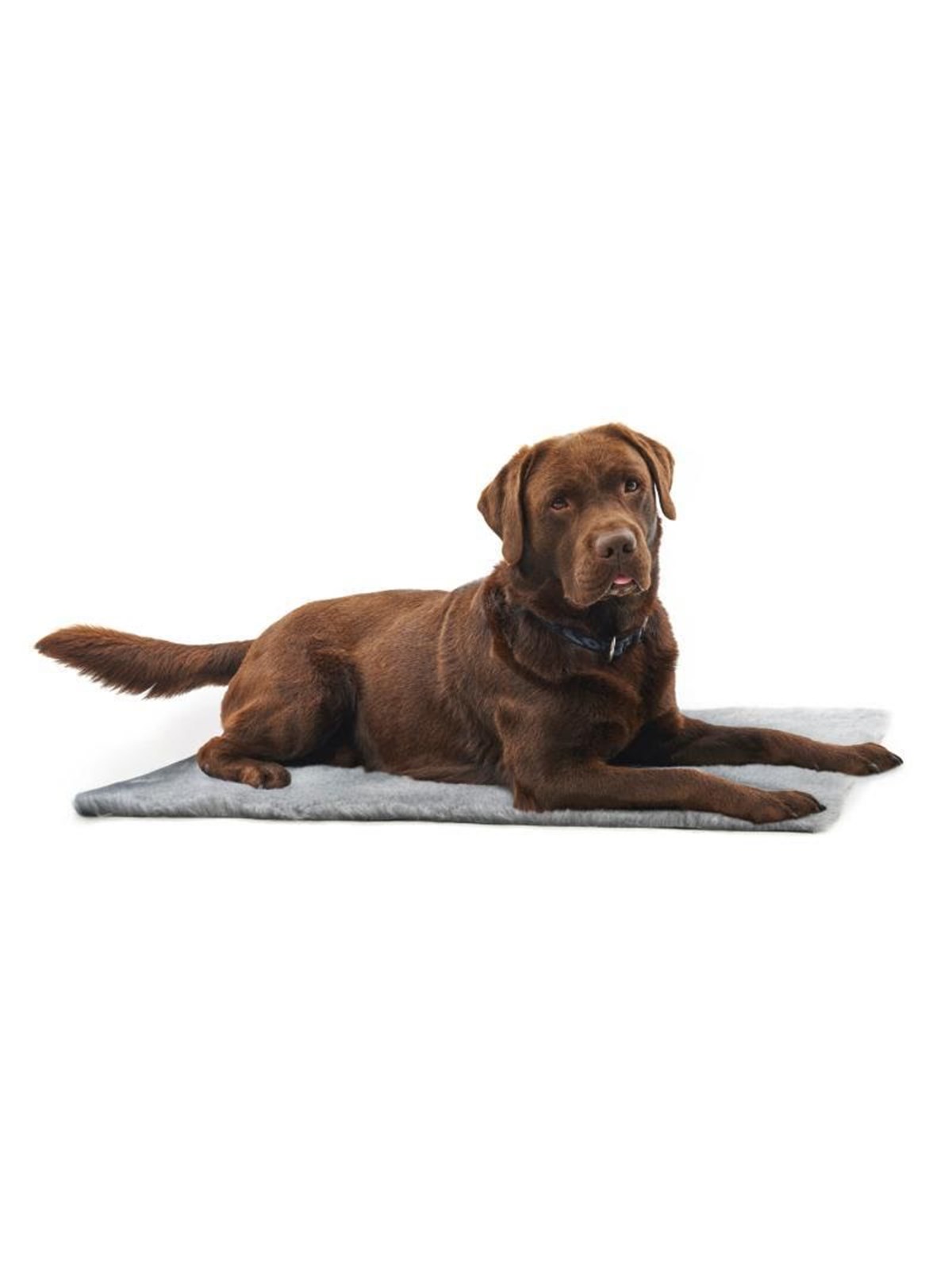KRUUSE Vet Bed, Anti-Rutsch, grau, 100 x 75 cm