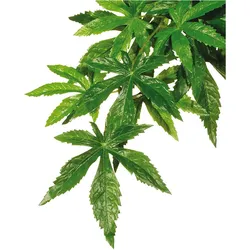 6x Exo Terra Jungle Plant Abutilon S, Terrariumeinrichtung
