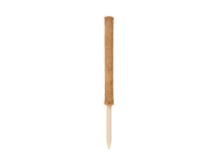 Windhager Pflanzenstab Kokos 60 cm
