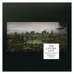 Various Publishers, Schallplatten, The Entire City (Silver Grey LP) (Gazelle Twin)