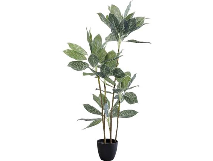 Kare Design Decoratieve plant Calathea, groen, geschikt voor mensen met allergieën, onderhoudsvriendelijk, geen pollen of schimmelvorming, decoratief object voor de woonkamer, grote kunstplant, met