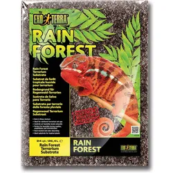 Exo Terra Rain Forest, Terrariumeinrichtung