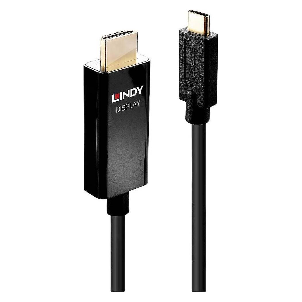 Lindy Videoschnittstellen-Converter (3 m) (43293)