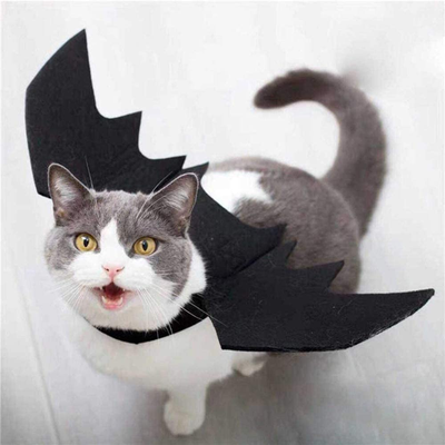 PetsAreLife Black Cat Bat Wings Black Cat Bat Wings