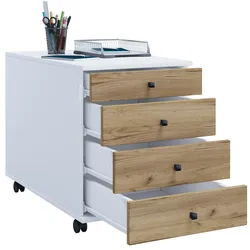 VCM Rollcontainer Lona