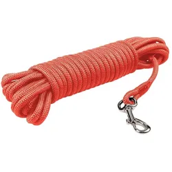 Duvoplus Classic (Hund, Allgemein, Hundesport), Halsband + Leine