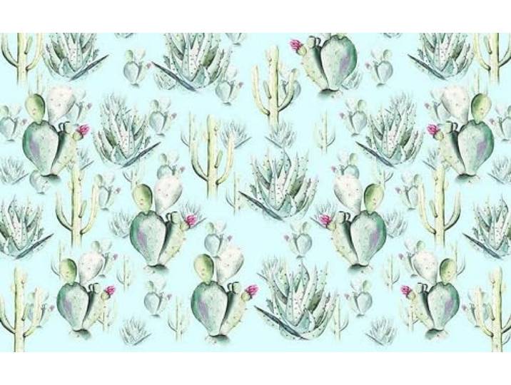 Komar Cactus Blue Vlies Fototapete 400x250cm 4-bahnen