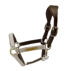 Halfter KY Nylon anatomic