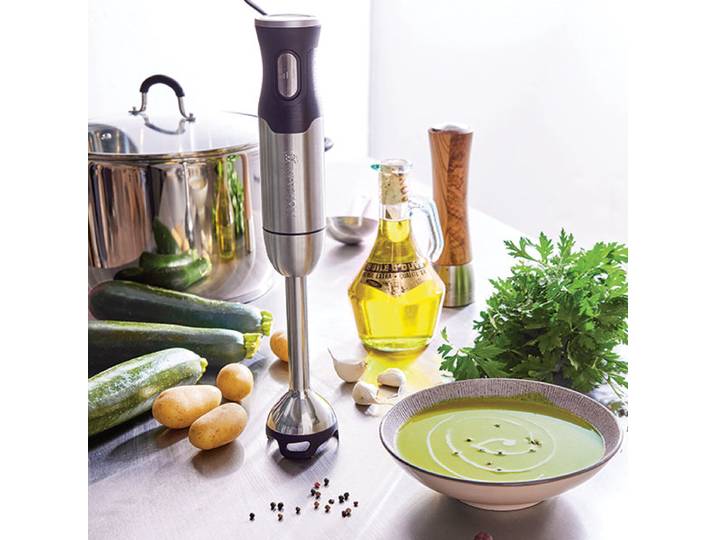 Mixeur plongeant 1000 W Mathon