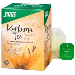 KURKUMA TEE Ingwer & Zimt Bio Salus Filterbeutel 15 St