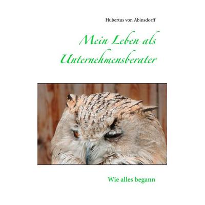 Mein Leben als Unternehmensberater, Taschenbuch von Hubertus Abinsdorff, BoD – Books on Demand, 978-3-7494-3110-6