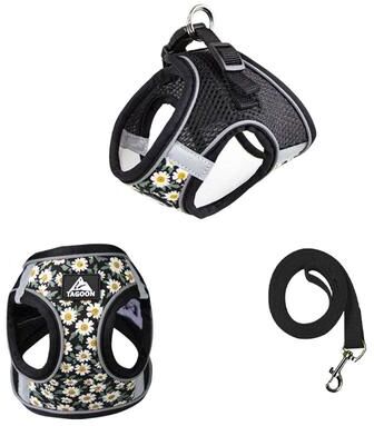 Inspired Living Reflective Escape Proof Cat & Small Dog Harness And Leash Set black xl(7.5 11kg)
